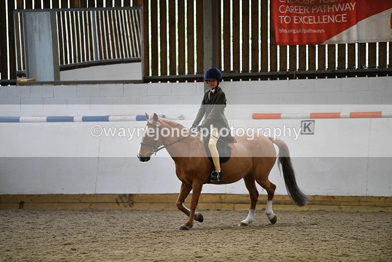 WJ5_7262 - Class 11 Ridden PC - RC Pony