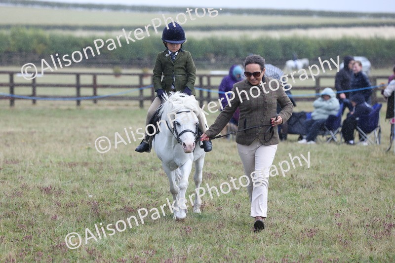 20250831-2417 - Class 16 - Family Pony
