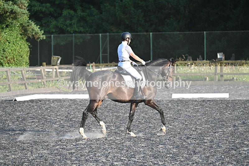 WJ7_0577 - Time 19:38 to 20:00