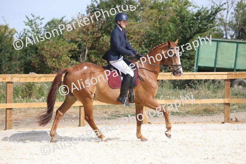 20260802-0445 - Class 6 - Veteran Ridden