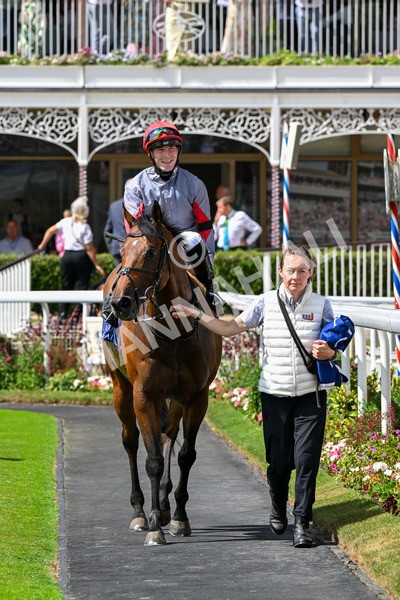 280625-Race 3-Squealer-0233-2 - Race 3 3.00pm Al Basti Equiworld Dubai Dash Handicap