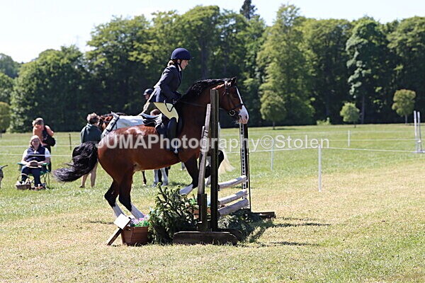 IMG_4049 - Working Hunter