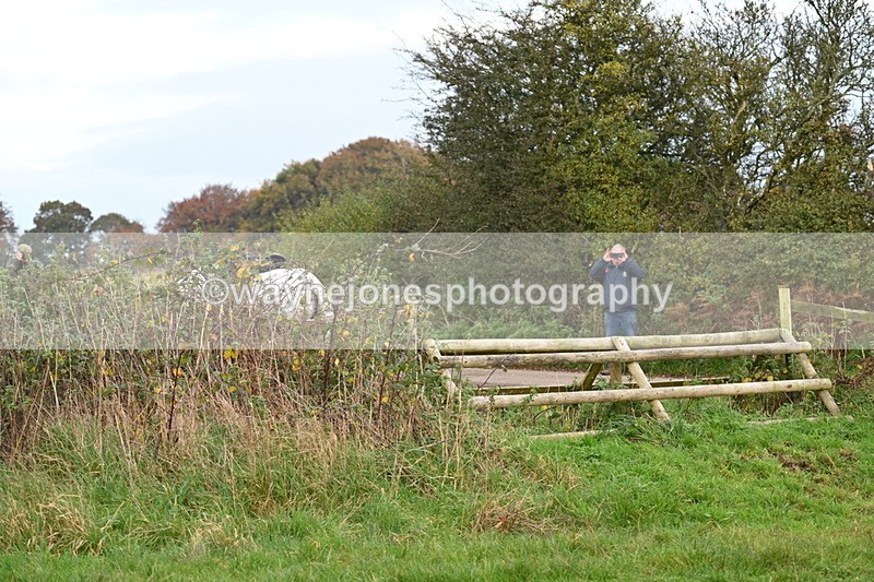 WJ7_0365 - Camera 1 & Last fence