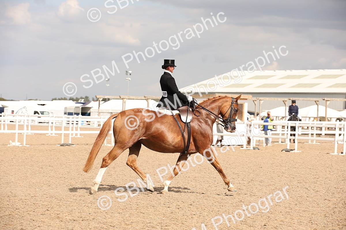 SBM_06743 - Class 24 Concours d'elegance