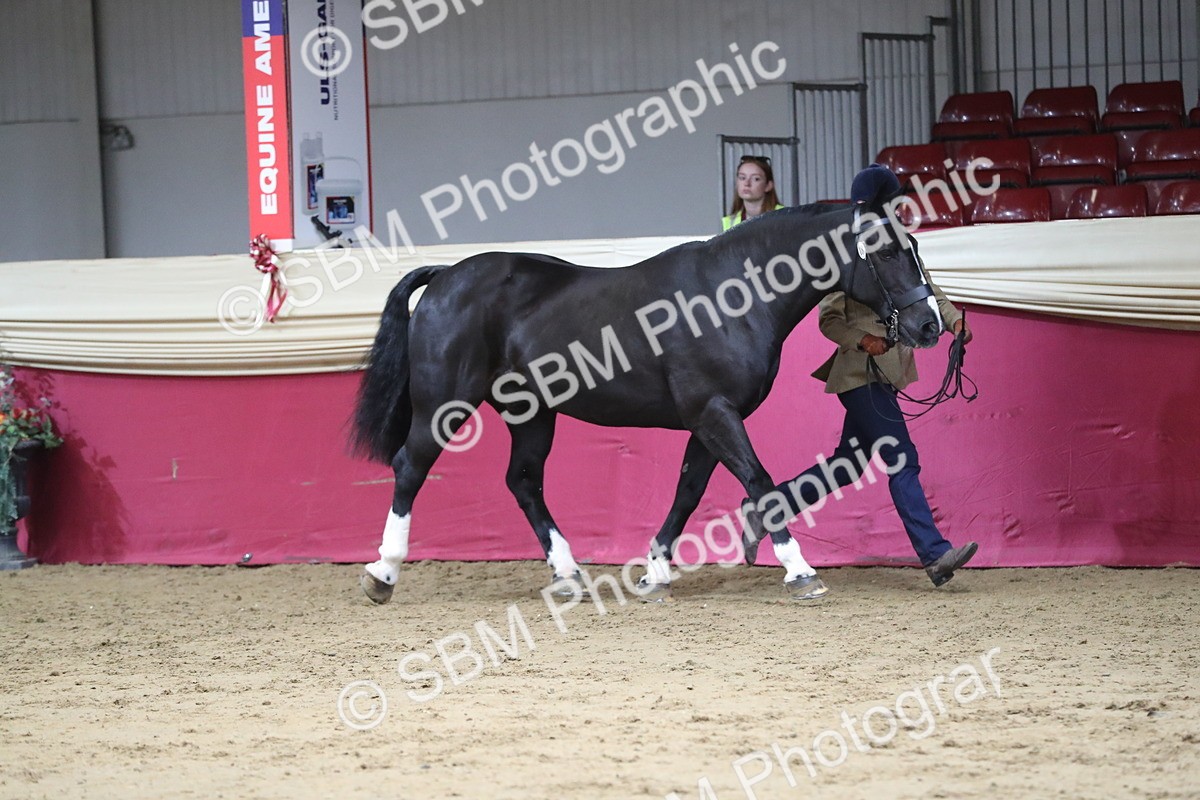 SBM_06322 - Class 9R Regional- IH Pre Vet