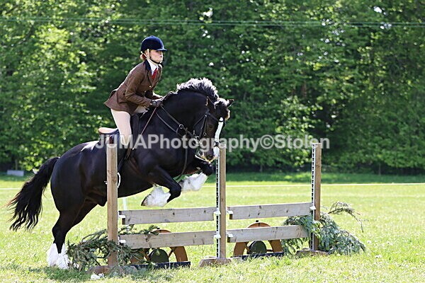 IMG_3714 - Working Hunter