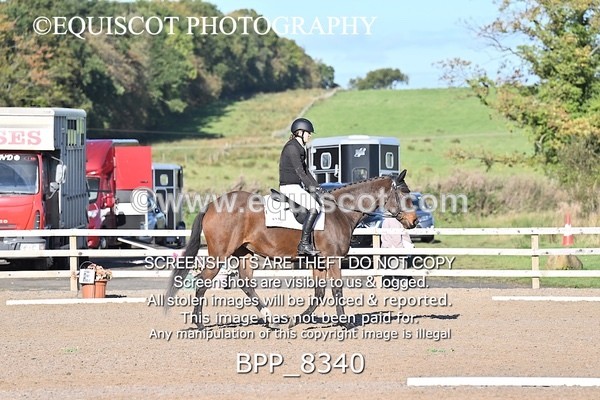 BPP_8340 - SHORT ARENA