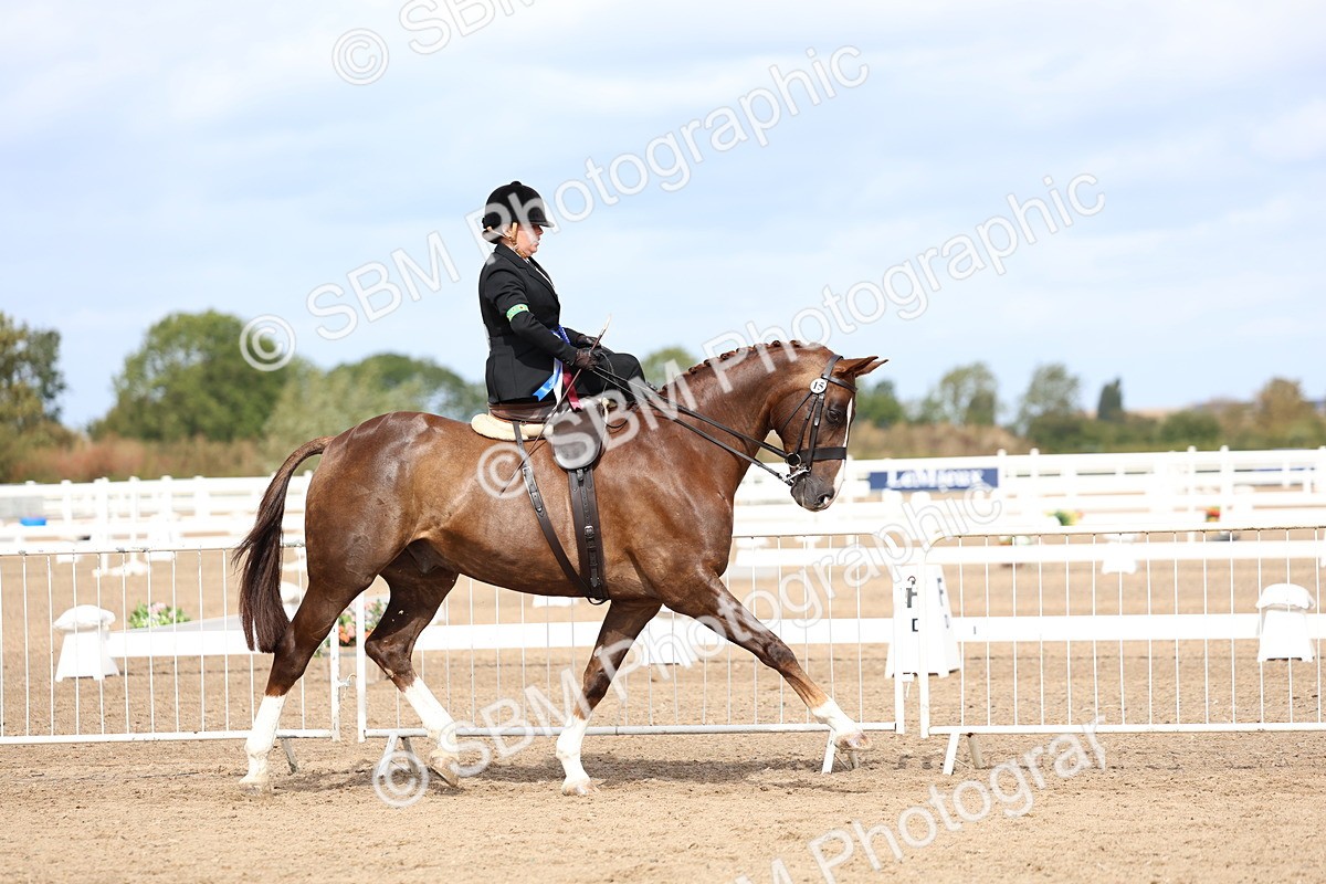 SBM_03282 - Class 22 - SSA Equitation (any age)