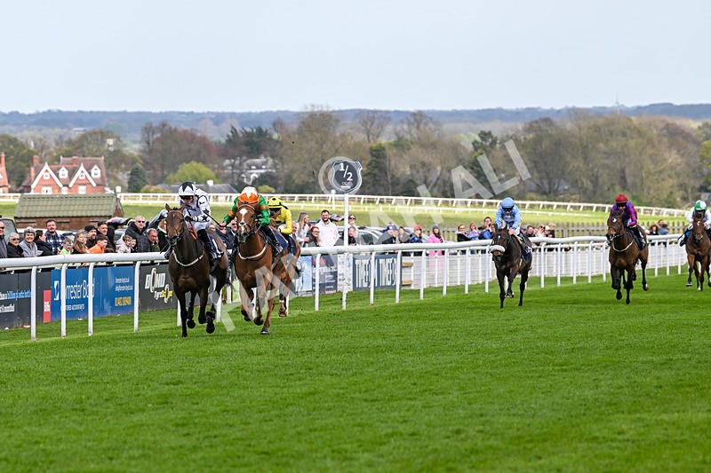 160425-Race 4-Wilhelmina-3049 - Race 4