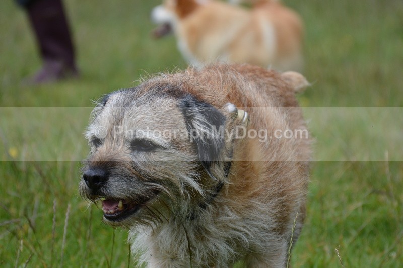  - Eric, Ulla, Maisie and Lola