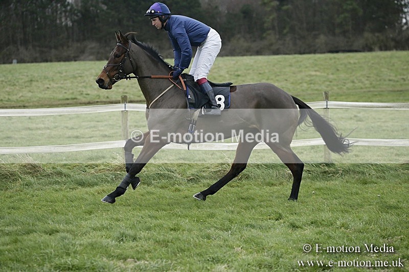 PtP 031217 534 - Hursley Hambledon Point-to-Point Larkhill 03/12/17