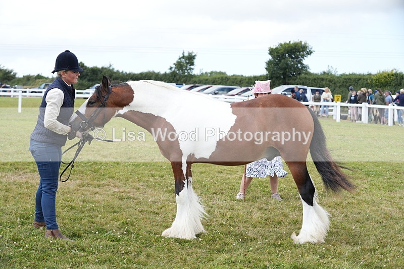 DSC06754 - Class 58: Coloured Pony Youngstock