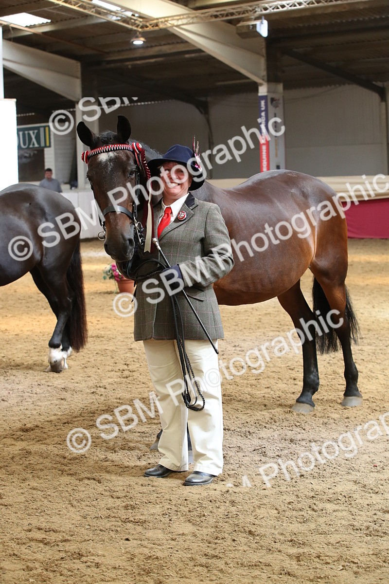 SBM_05415 - Class 8R - Regional IH Veteran