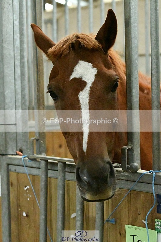 230804A-095439-01536 - Stable Shots