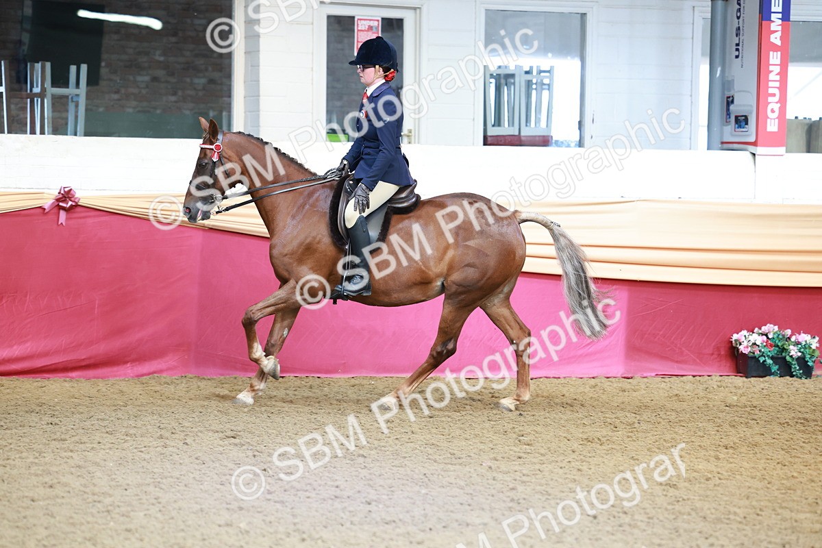 SBM_11937 - Class 102 - Equitation (Best Rider) Adult