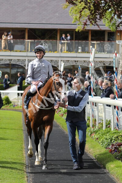 yr12052022r5-20 - Race 5 4.10pm British Stallion Studs EBF Westow Stakes
