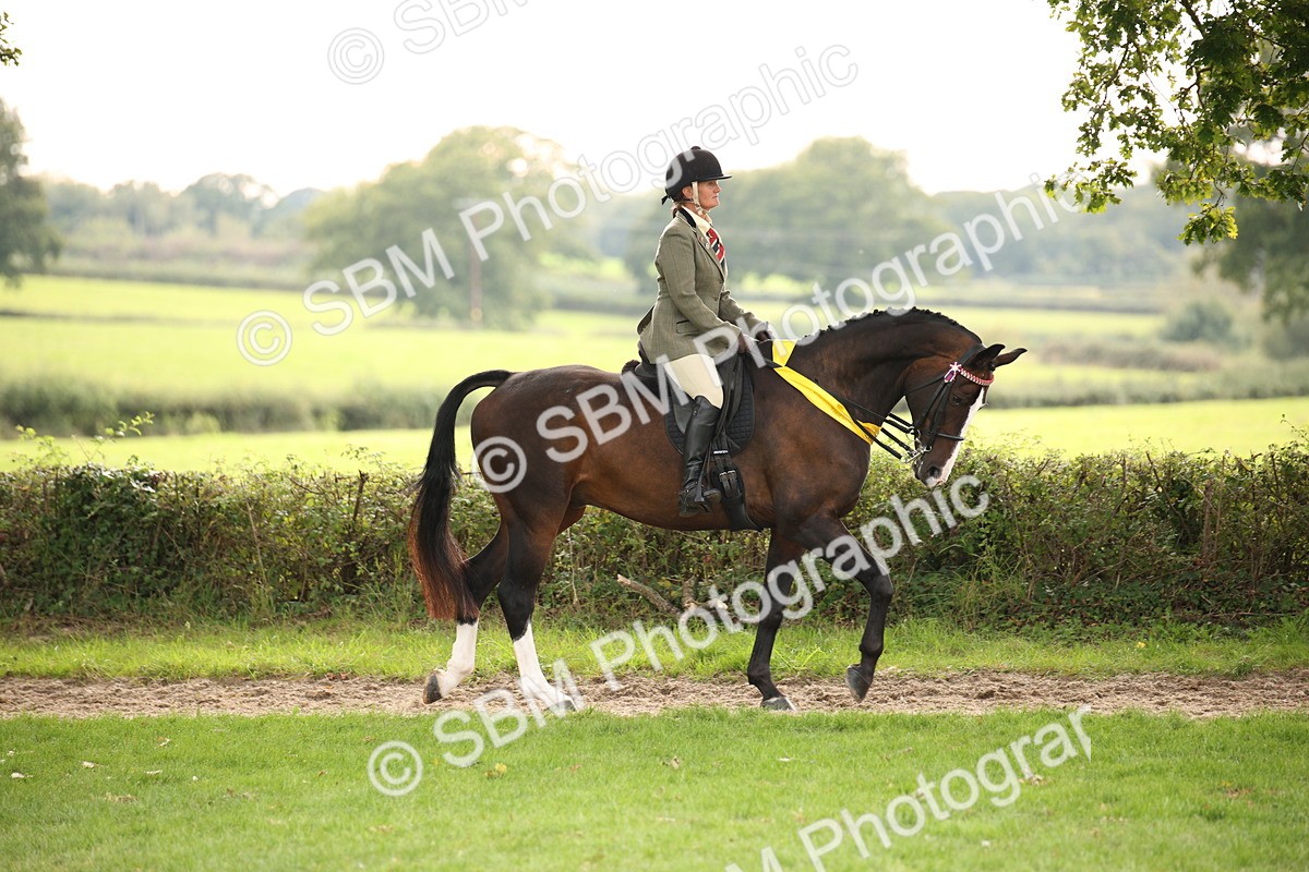 SBM_73612 - Ridden Horse Supreme Championship