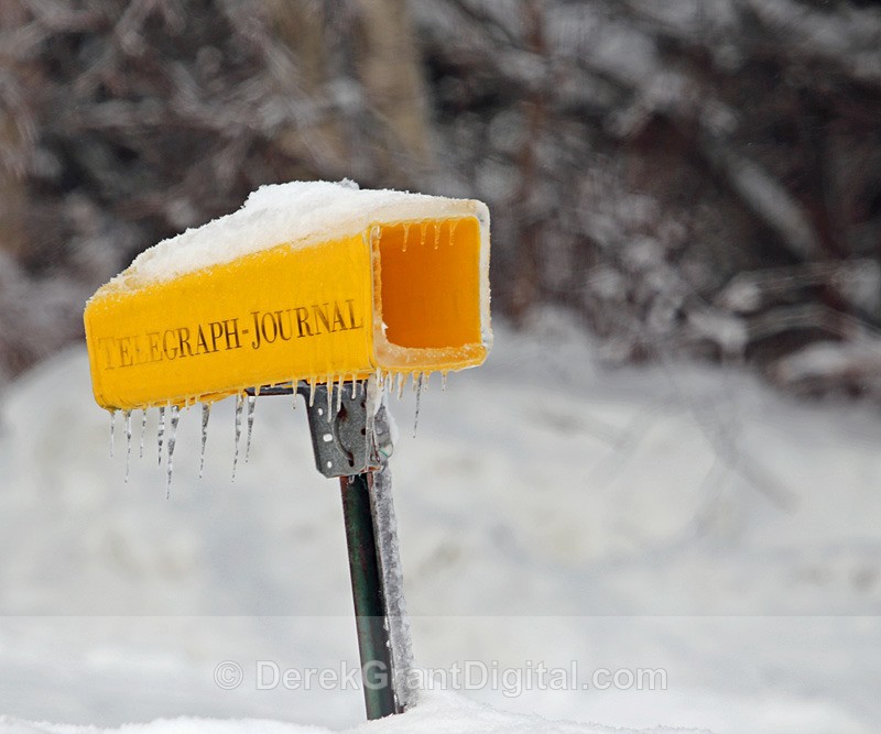 Ice Box - Winterscape