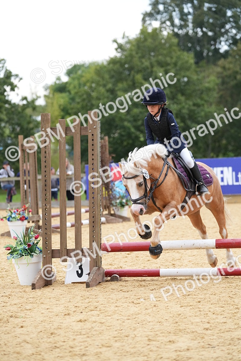 SBM_74574 - J4 - Mini Tour Junior Pony 45cm Championship