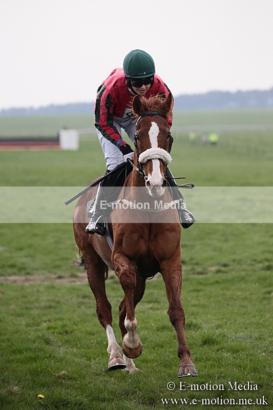 PtP 210418 239 - South & West Wilts Point-to-Point Larkhill 21/04/18