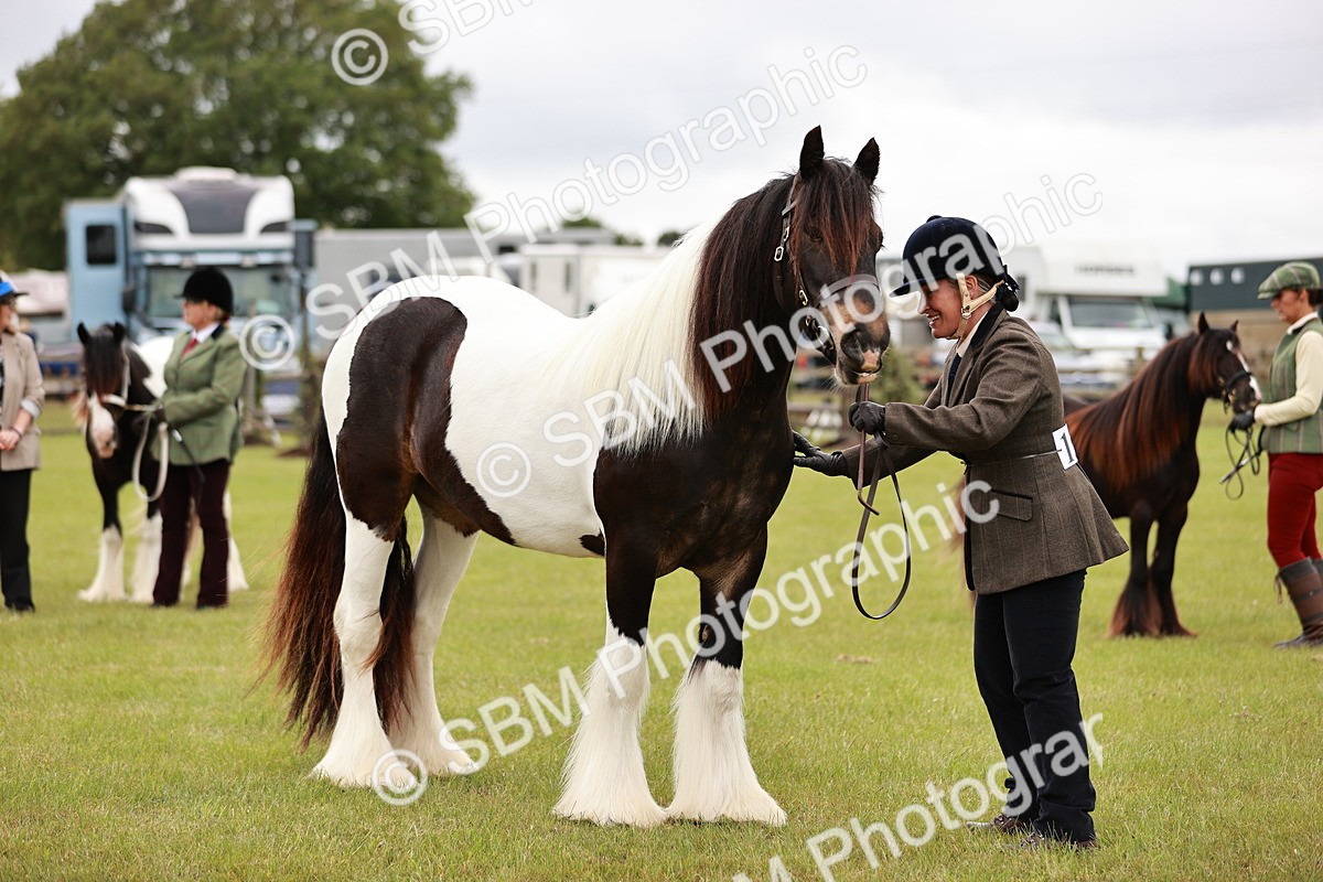 SBM_05976 - Class 39-41 TGCA In Hand and Ridden