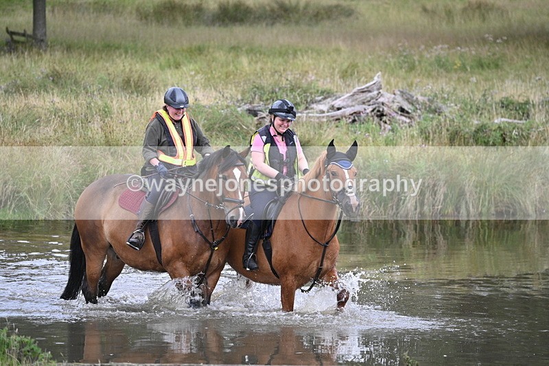 WJ7_4902 - Time at Water 14:00 to 14:53