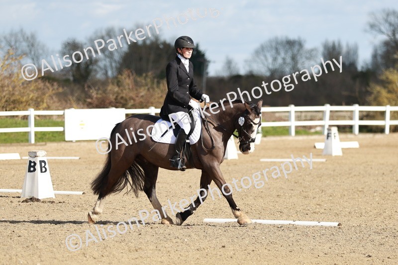 20260314-4349 - DR4 - Prelim 2