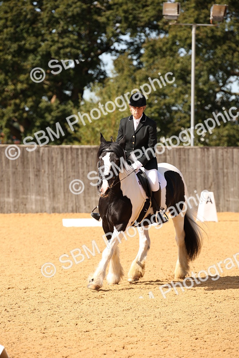 SBM_21844 - D5 - Small Tour Championship - Intro C