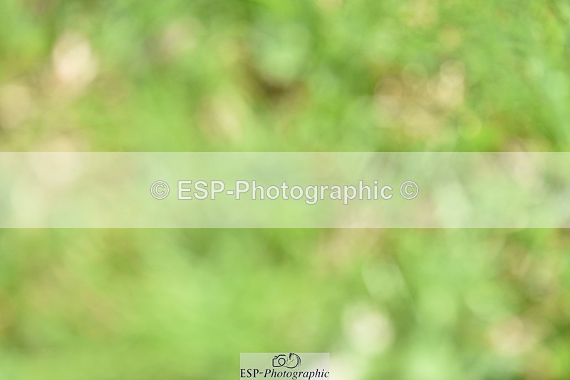 240605-130438-00356 - Cls 5 Elementary 43