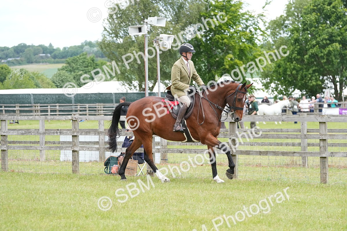 SBM_00004 - Class 100-102 - RIHS Working Hunter