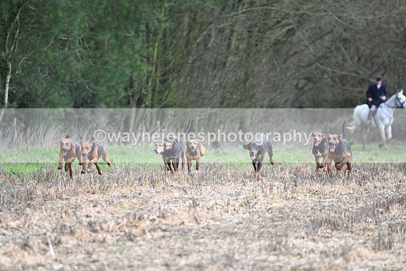 WJ6_9419 - Line Four