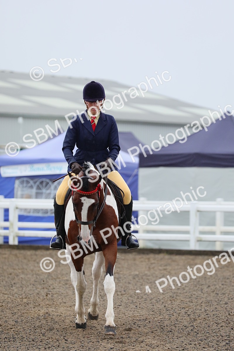 SBM_19898 - Class 801 - Ridden Veteran