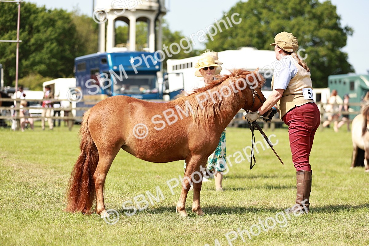 SBM_01757 - Class 14-23 - Mountain & Moorland In Hand Non Welsh