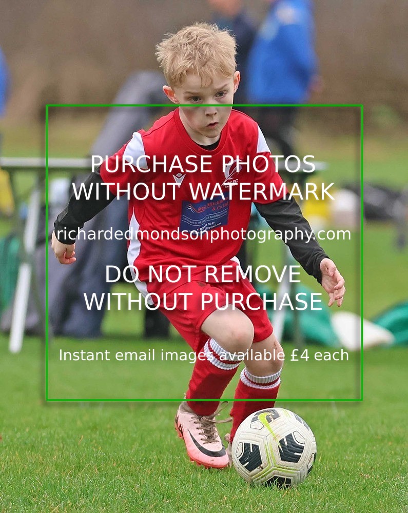 533A0791 - Ibis Under 7's (28/2/26)