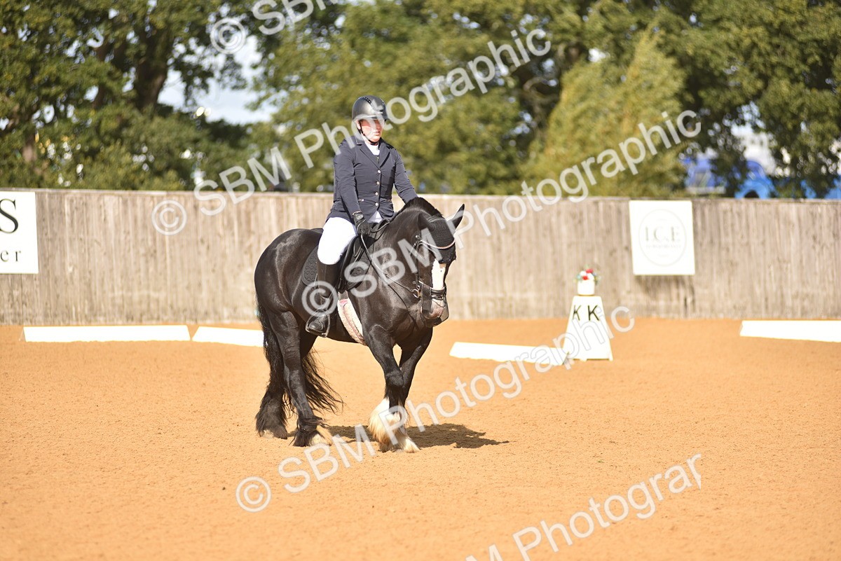 SBM_03021 - D4 - Small Tour Championship Intro 4