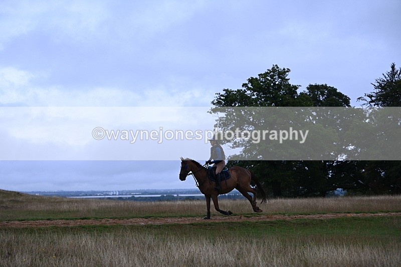 DSC_3822 - Time at Statue 13:51 to 14:55
