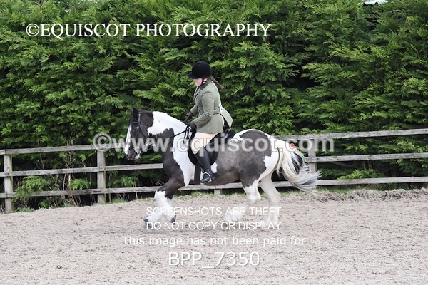 BPP_7350 - RING 1  (RIDDEN HORSES / IN HAND / VETERAN ETC)
