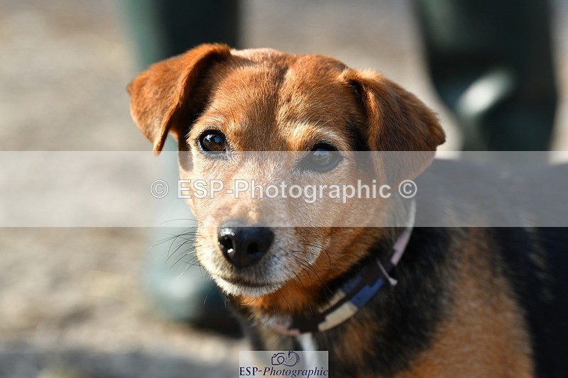 230817-083642-02432 - Stable Shots