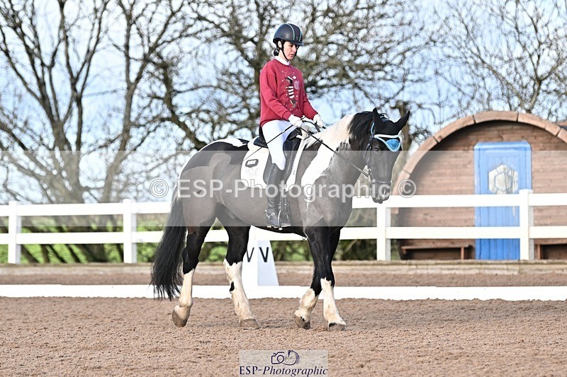 241214-112350-01384 - 130-Alys.Matravers-Tiger.Mazariti