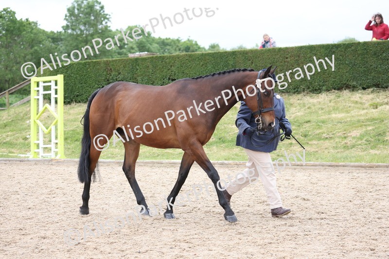 20250524-0770 - Class 7 - Veteran