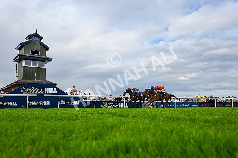 300826-Race 6-Court Legend-6191 - Race 6 4.30pm Return Of The Legend Martin Spencer Nursery Handicap