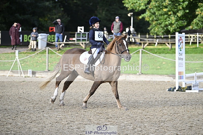 251005A-090208-02916 - Cls 02 GR 50cm