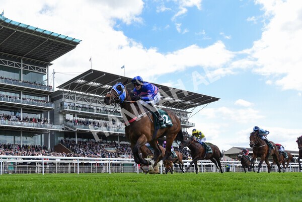yr12052022r1-19 - Race 1 1.50pm Paddy Power 'Making Flat Less Flat' Stakes
