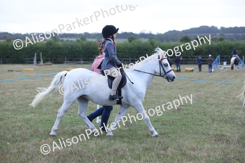 20250831-2379 - Class 16 - Family Pony