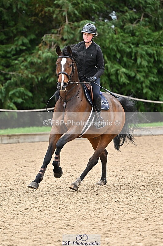 250201A-104320-00303 - Cls 01 Local Horse 90cm