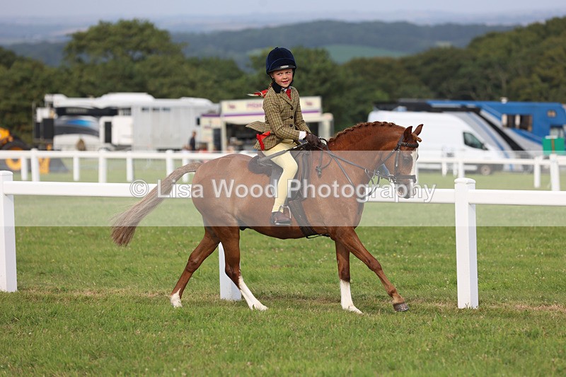 JPP_4682 - Working Hunter Championship