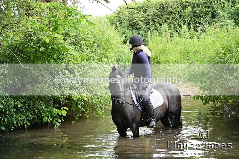 WJ7_2206-001 - Test