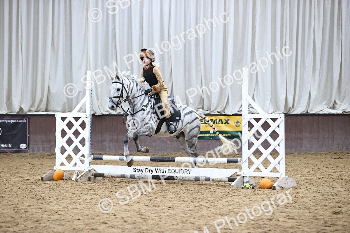 SBM_001263 - Class 3 - Horse & Hound 60cm