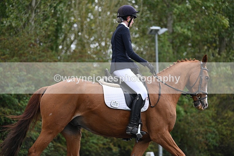 WJ7_6647 - Time 14:49 to 15:14