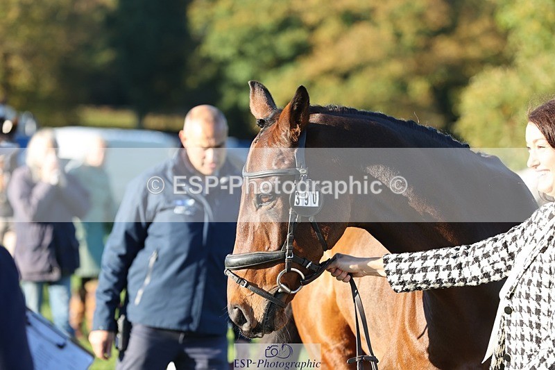 241027-083349-14661 - 390-Pippa.Howell-Phippard-NO.LIMIT.II